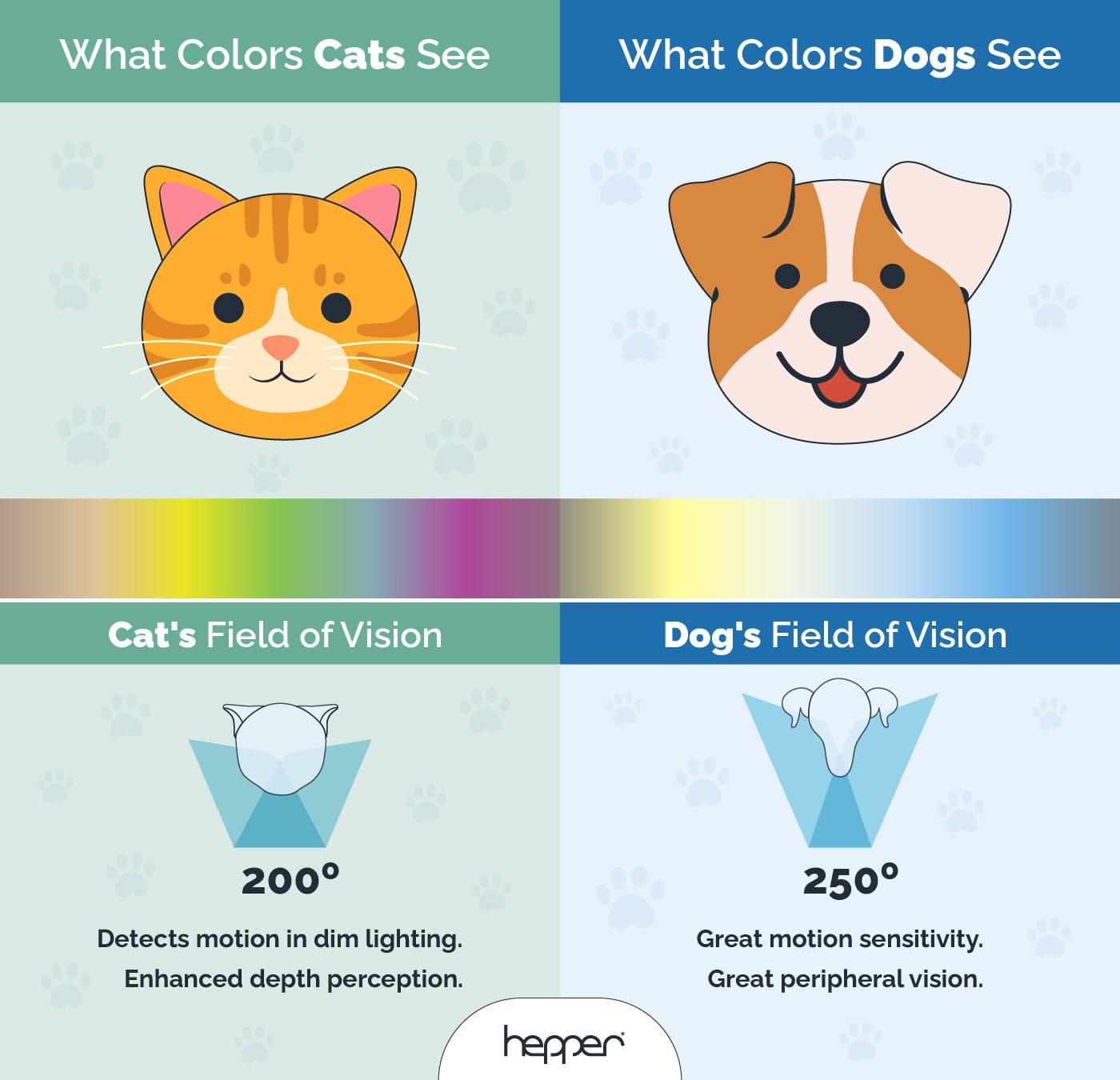 What Cats See VS What Dogs See_Infographic