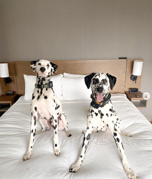 Hyatt Place Sioux Falls – South