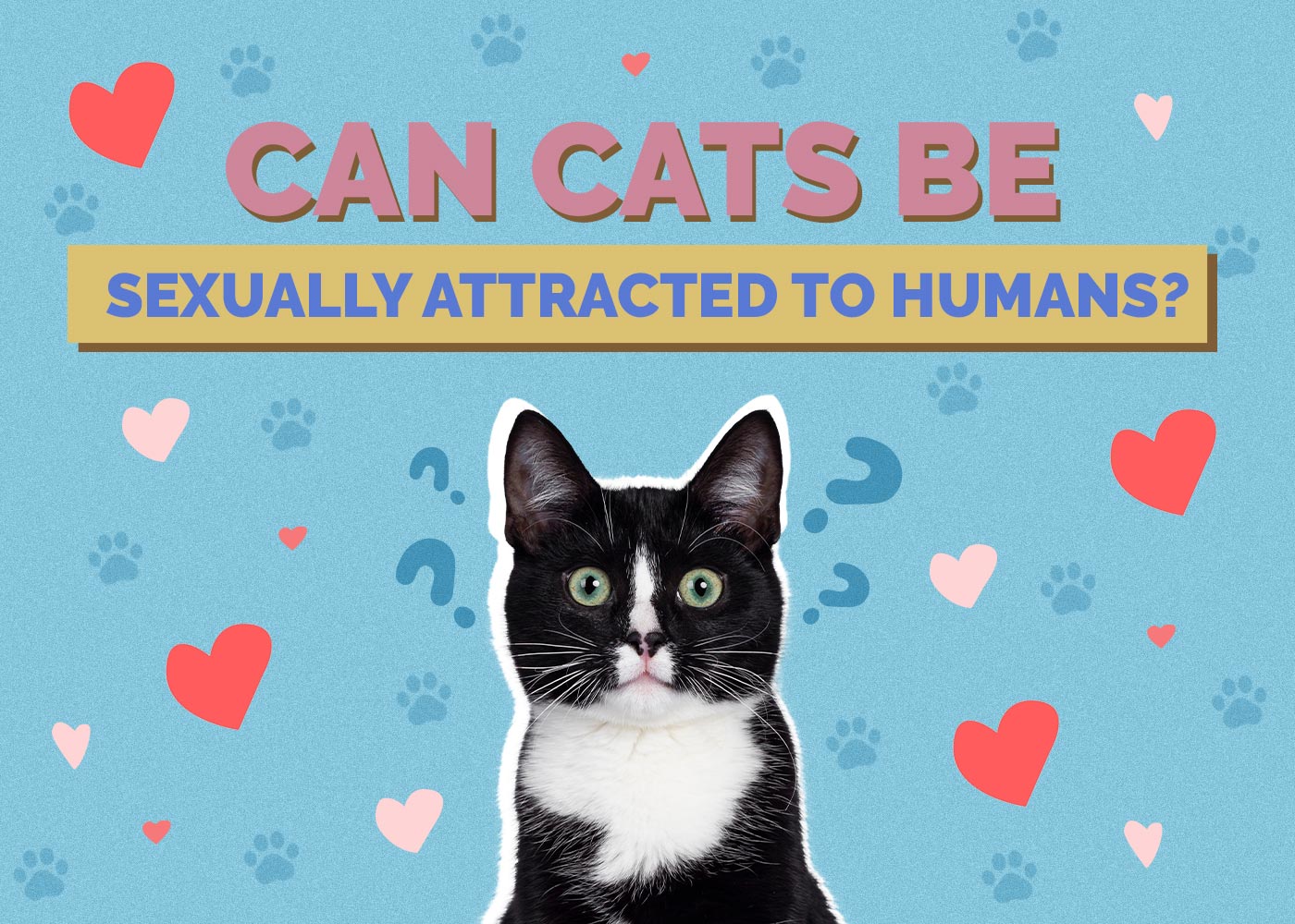 Can Cats Be Sexually Attracted to Humans? Facts & FAQ Hepper