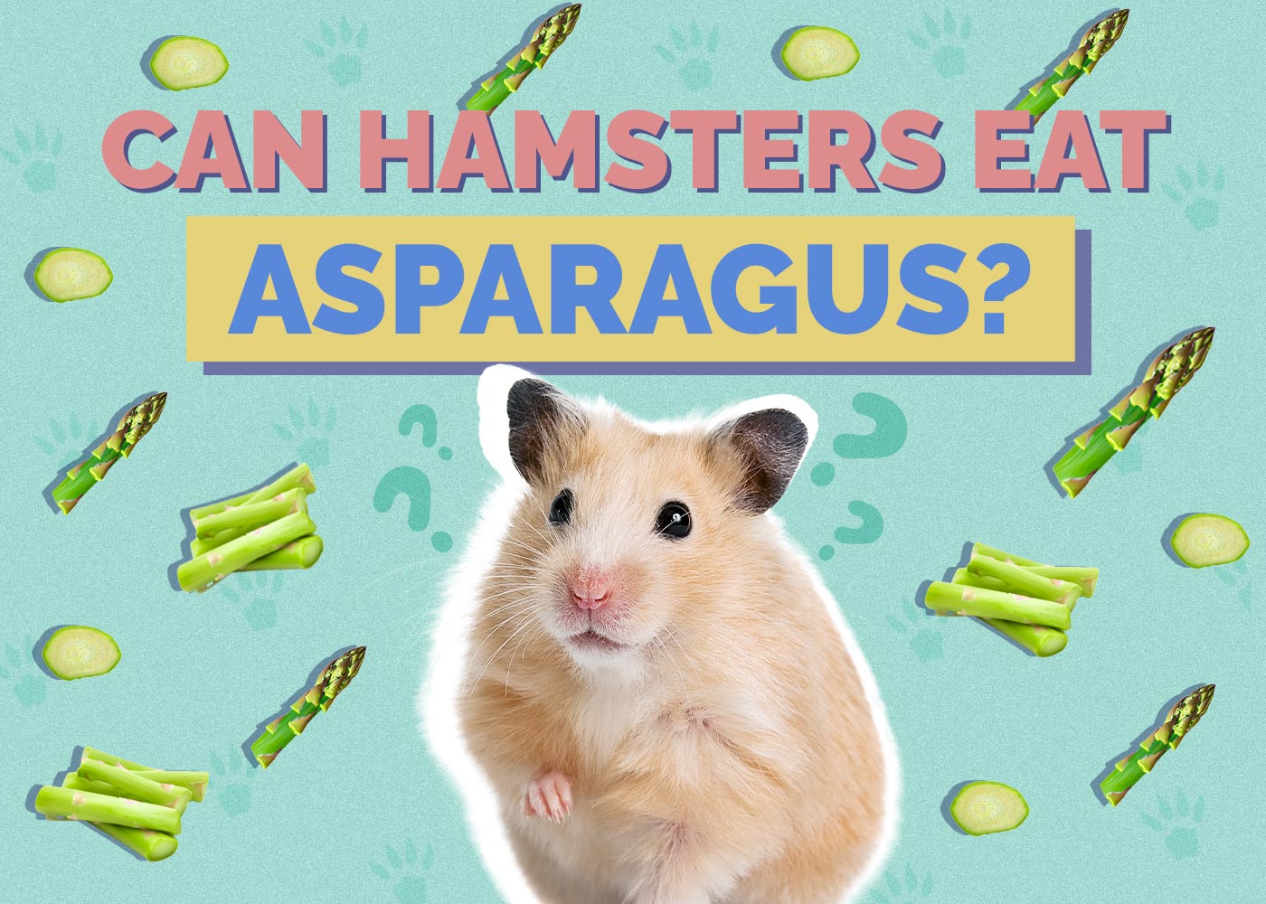 Can Hamsters Eat Asparagus? VetApproved Feeding Facts Hepper
