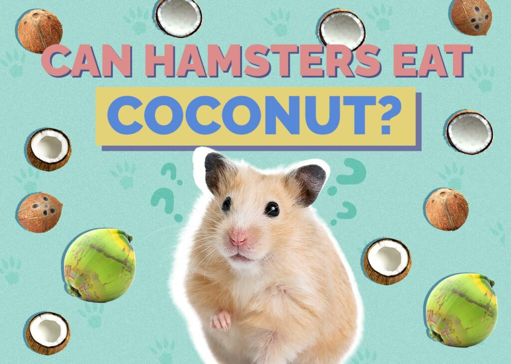 Can Hamsters Eat Coconut