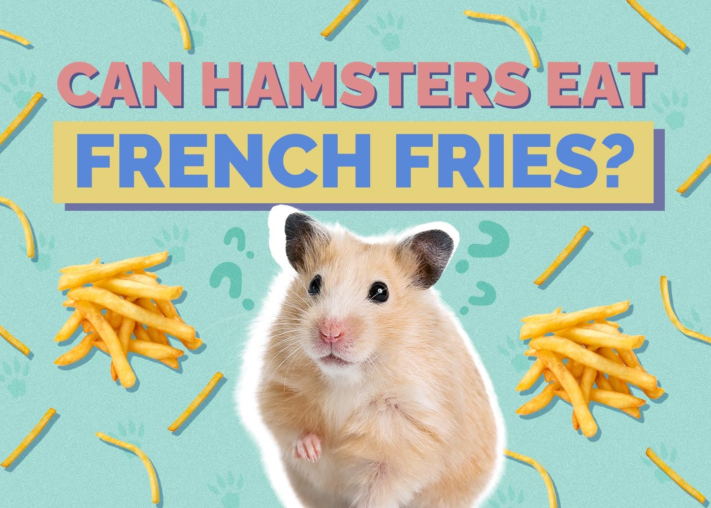 Can Hamsters Eat French Fries? Vet Approved Facts & FAQ Hepper