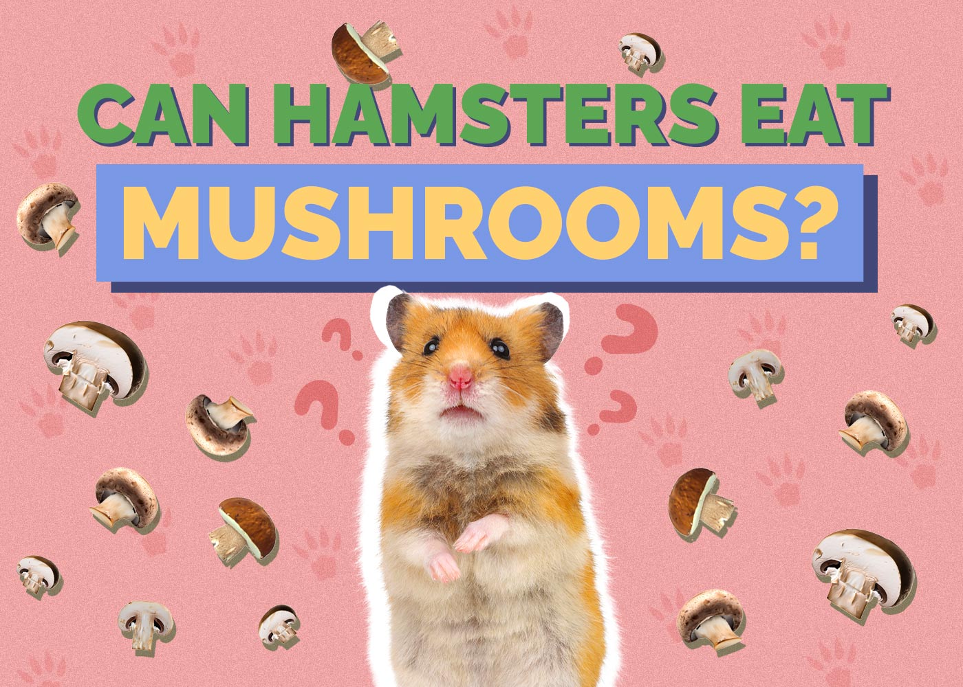 Can Hamsters Eat Mushrooms