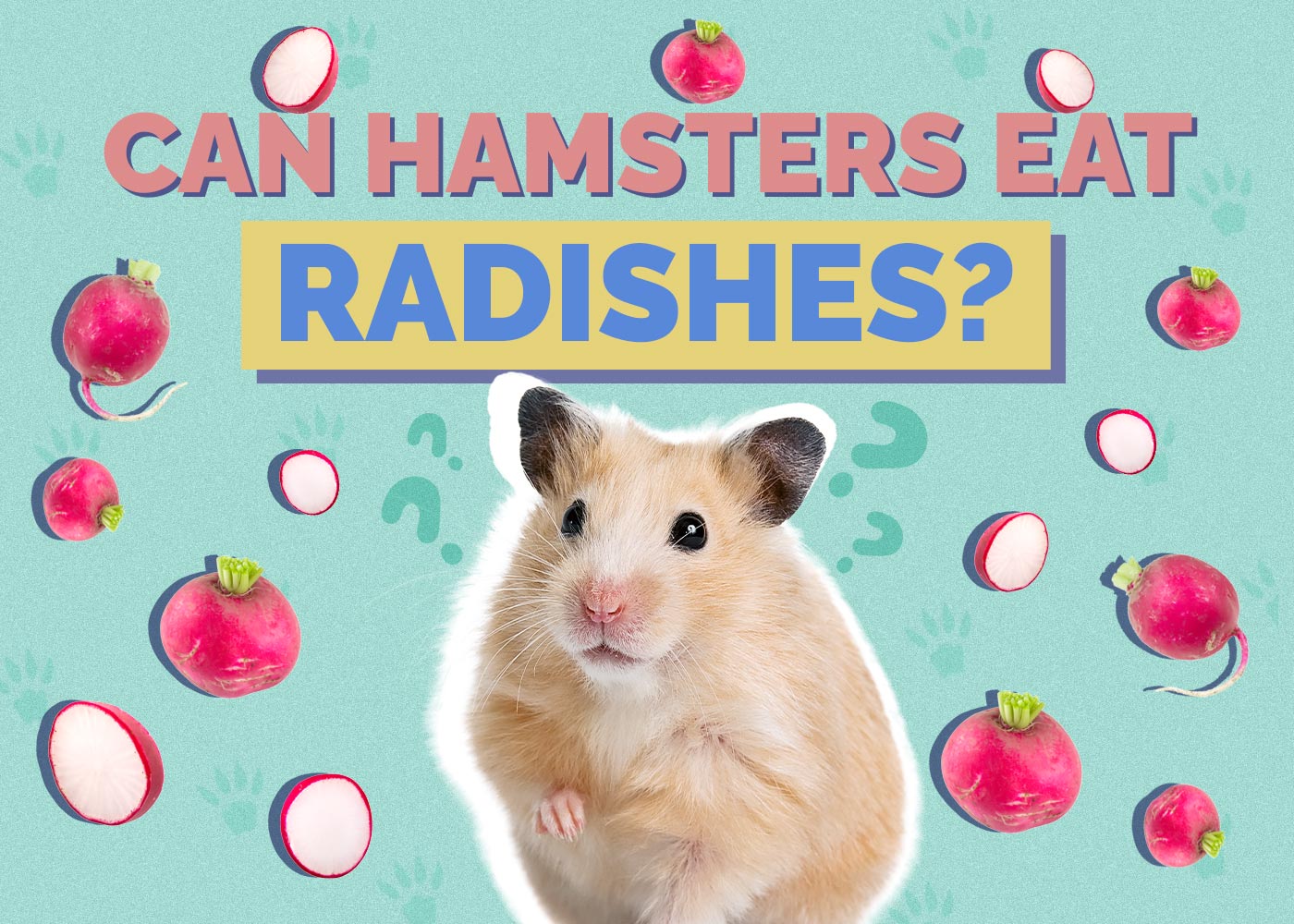 Can Hamsters Eat Radishes