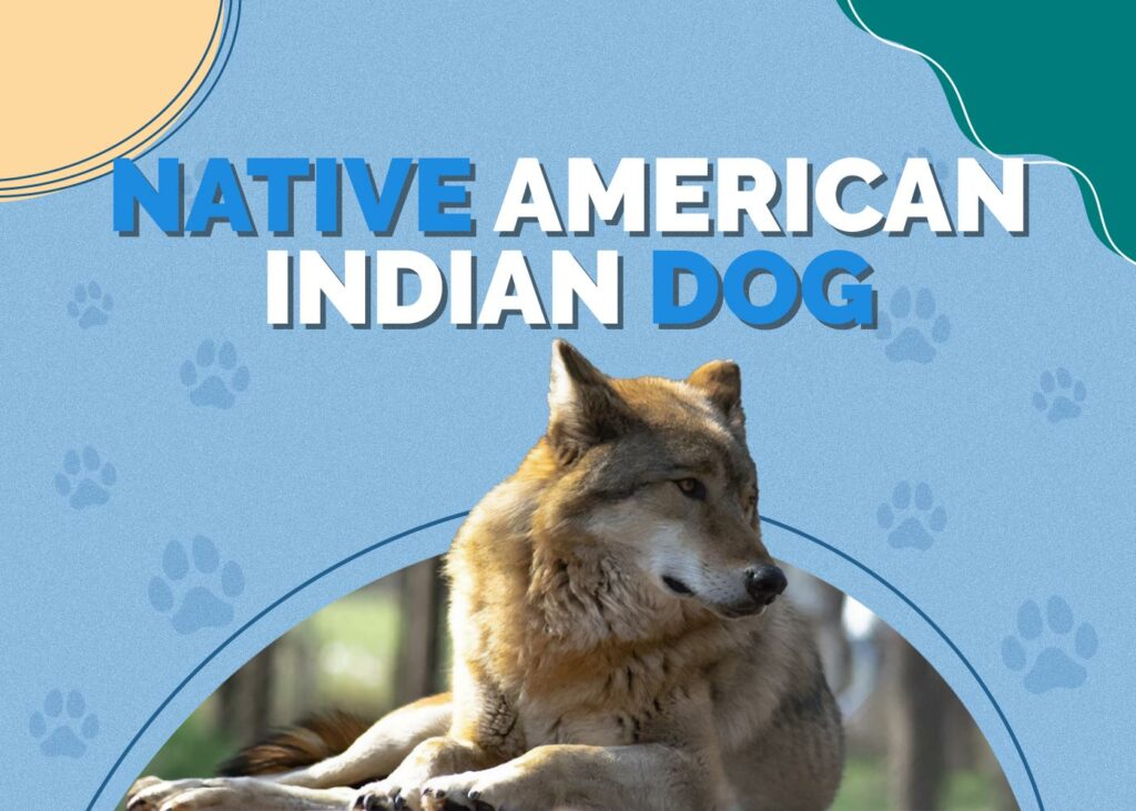 Native American Indian