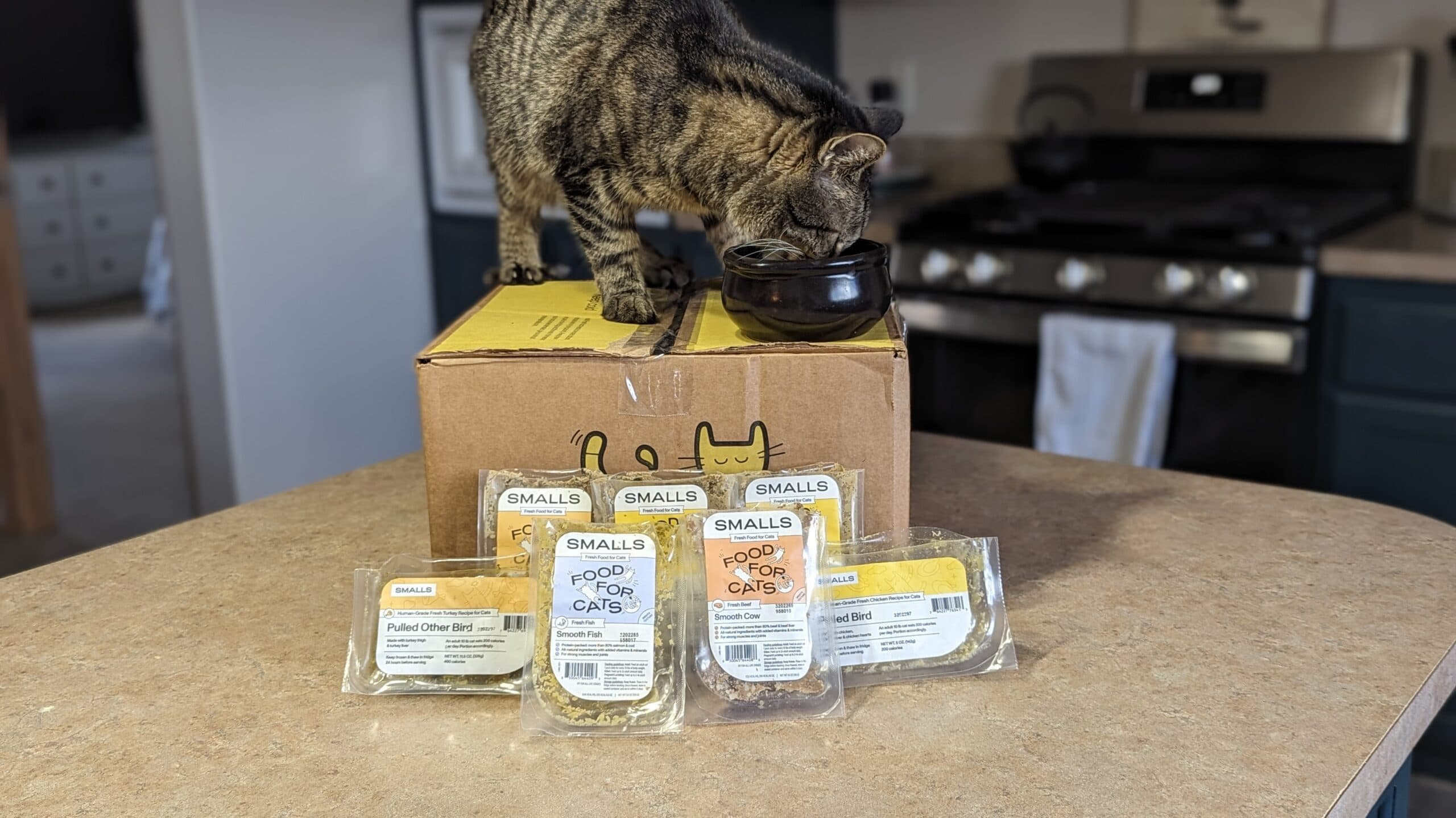 Smalls Fresh Cat Food Subscription