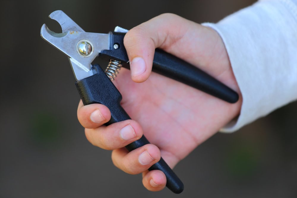 holding a pair of dog nail clippers
