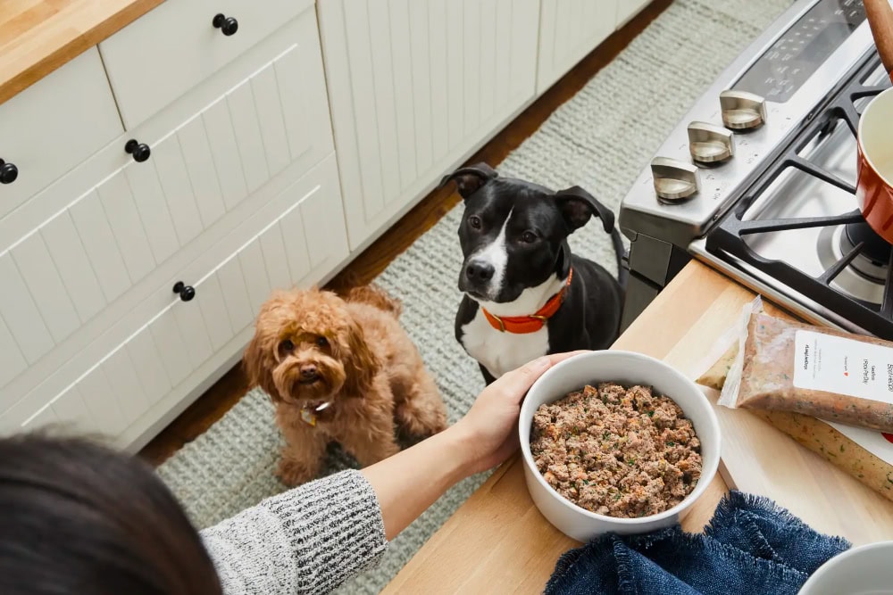 The Farmer’s Dog Human-Grade Dog Food