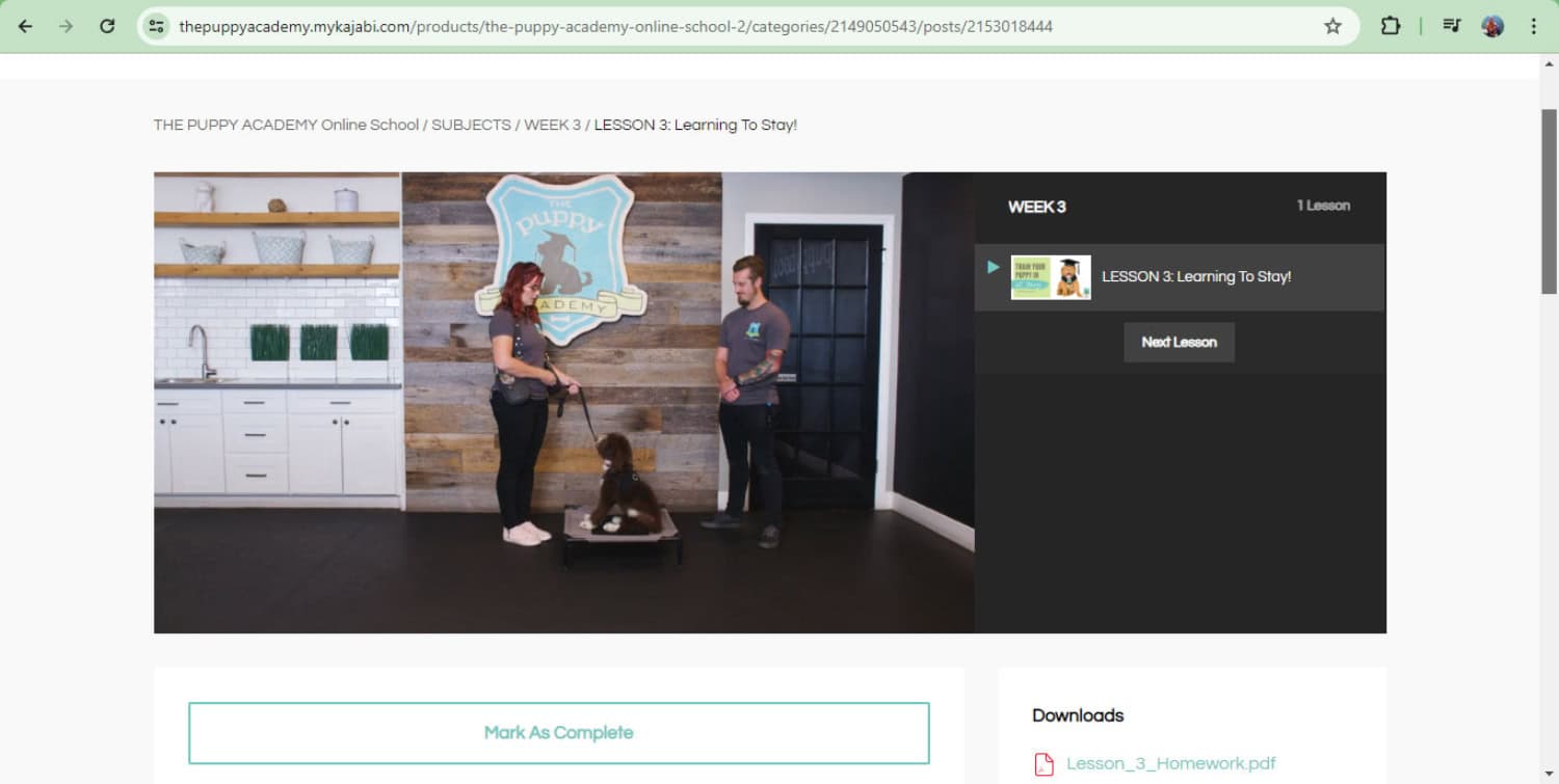 The Puppy Academy Online School - learning to stay