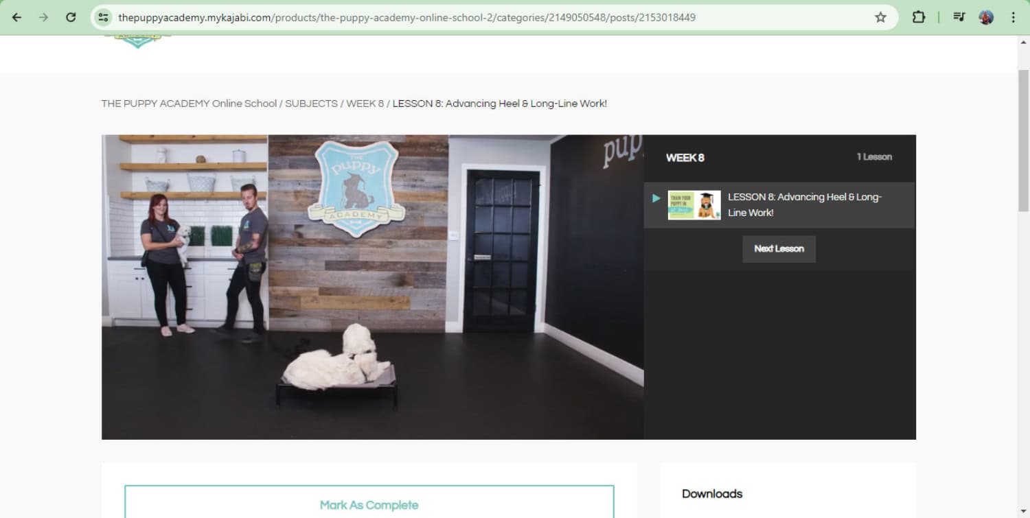 The Puppy Academy Online School - lesson video
