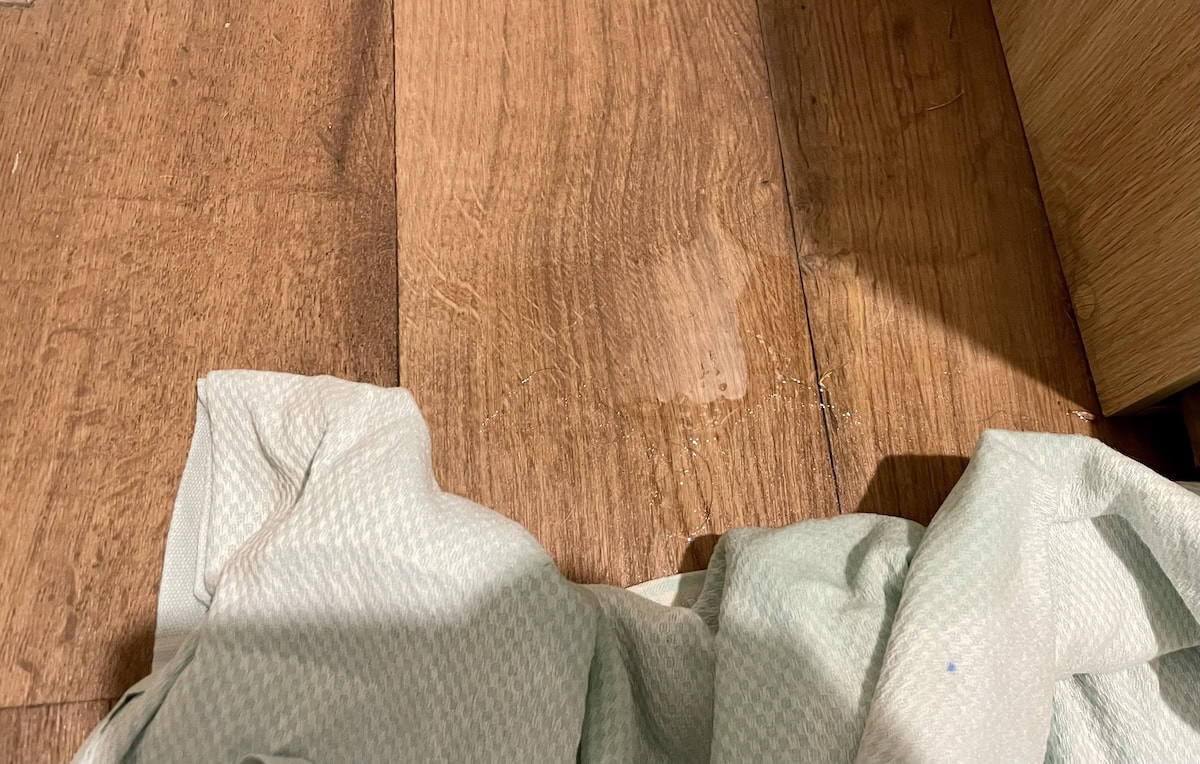 Baby Cat's favorite corner to pee in...great...