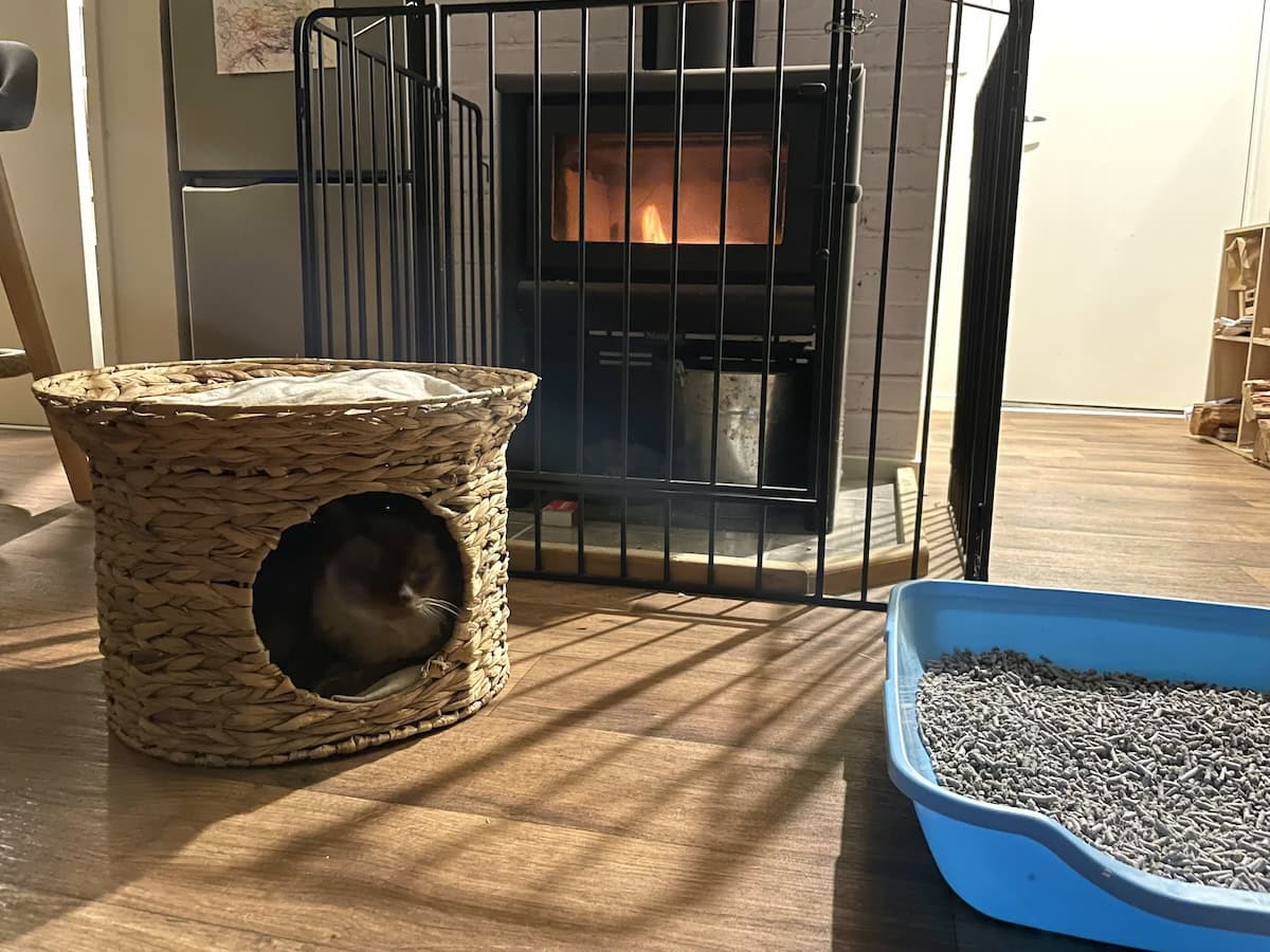 The things we do for our animals...litter tray in close proximity to the fire at night.