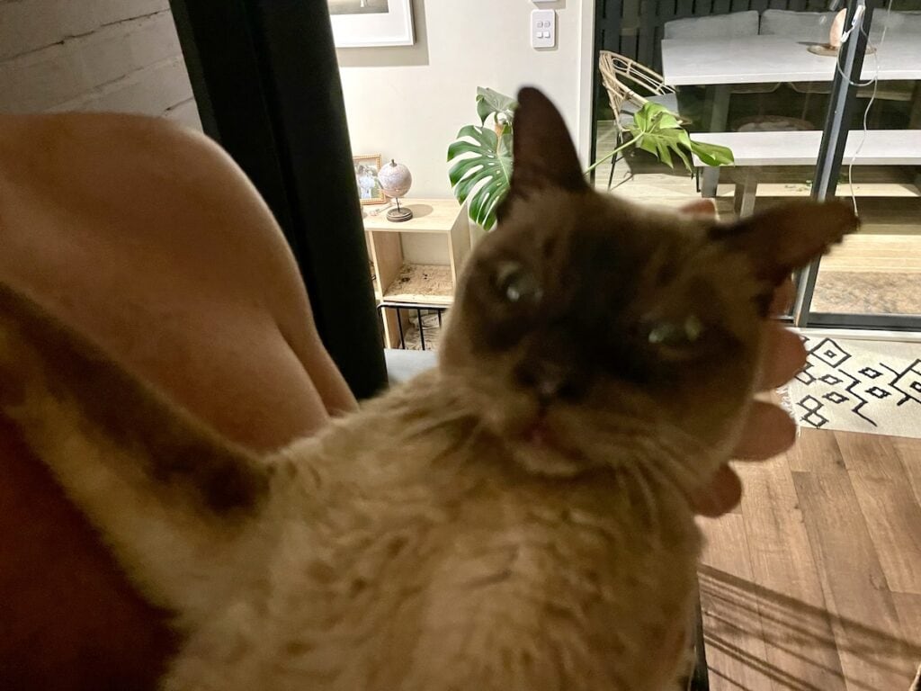 After his breathing returned to normal but his eyes were still big, a bit shocked I think.