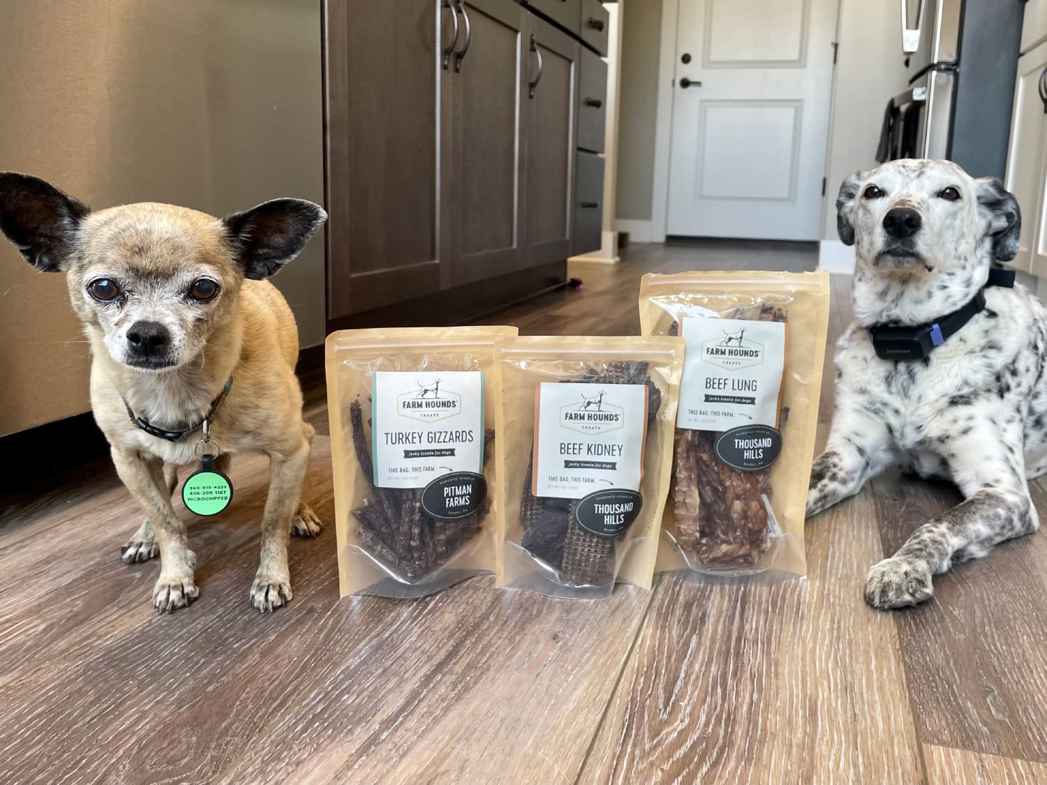 Farm Hounds - papyrus and ragz with the products