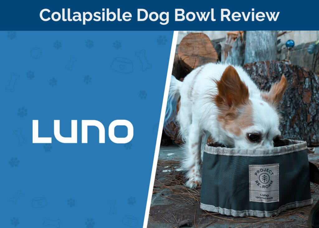 Luno Collapsible Dog Bowl