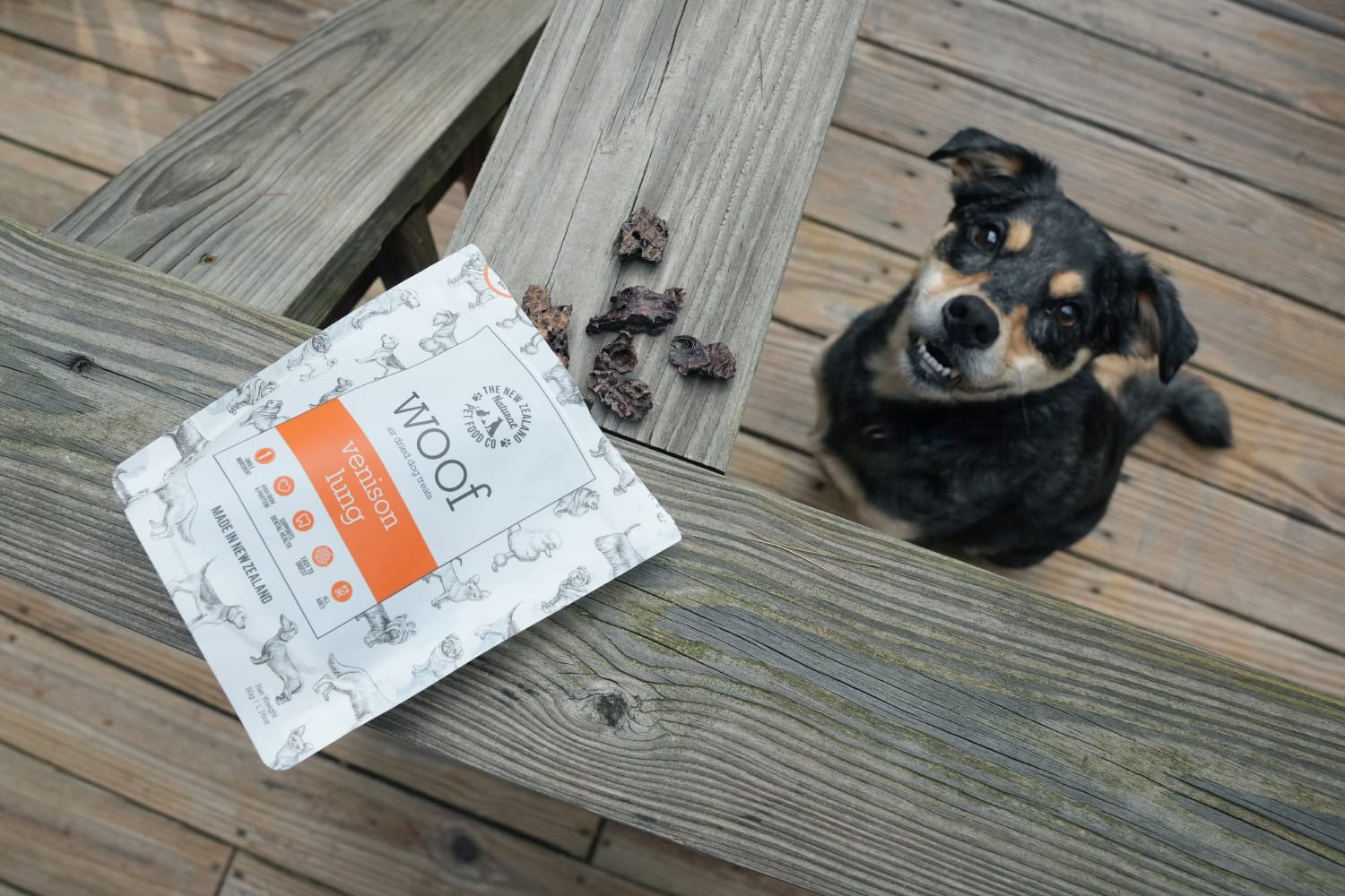 The New Zealand Natural Pet Food Co. Treats - elo waiting for the treat