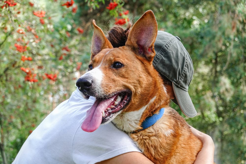 woman hugging her adopted dog