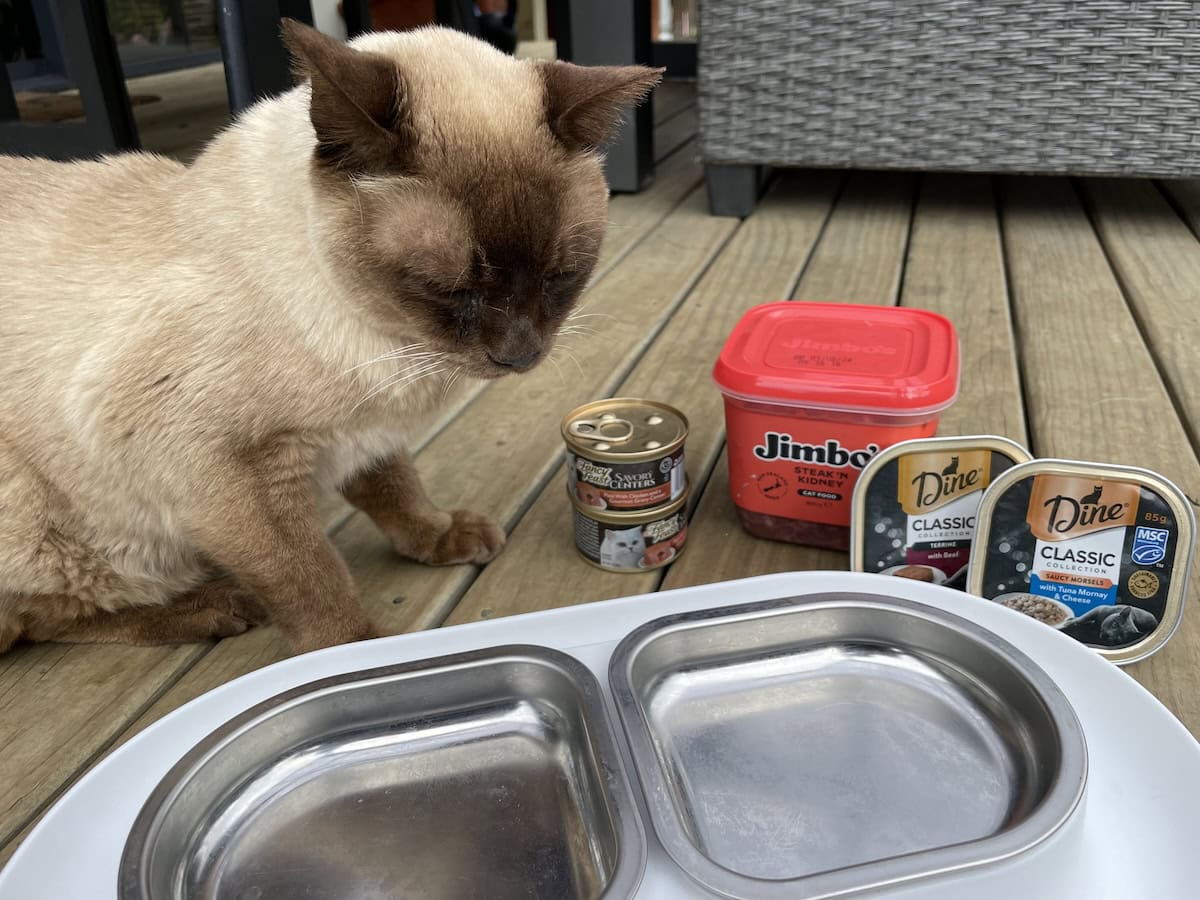'Enough photos, Mom, put the food in my bowl so I can sniff it and walk away.'