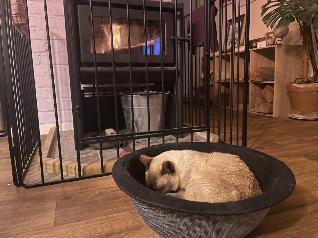 First sleep in his new bed.