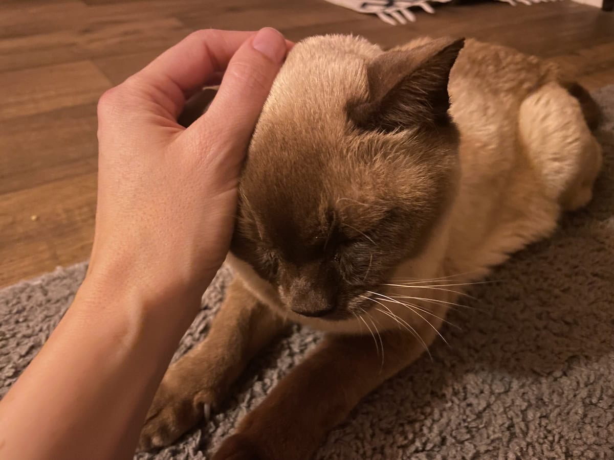 My sweet boy.