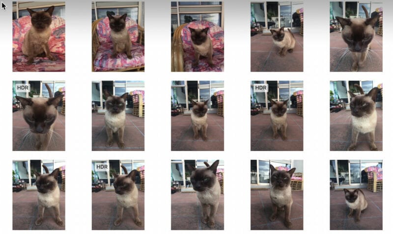 So many photos...
