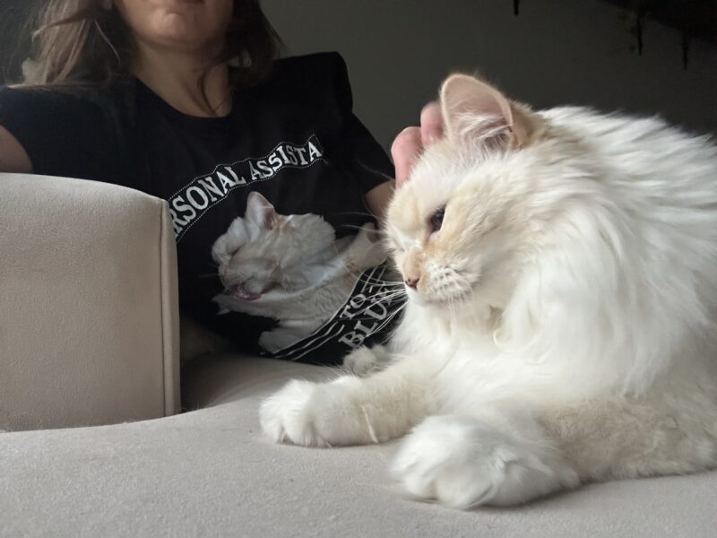 Blue with Amanda wearing her personal assistant shirt