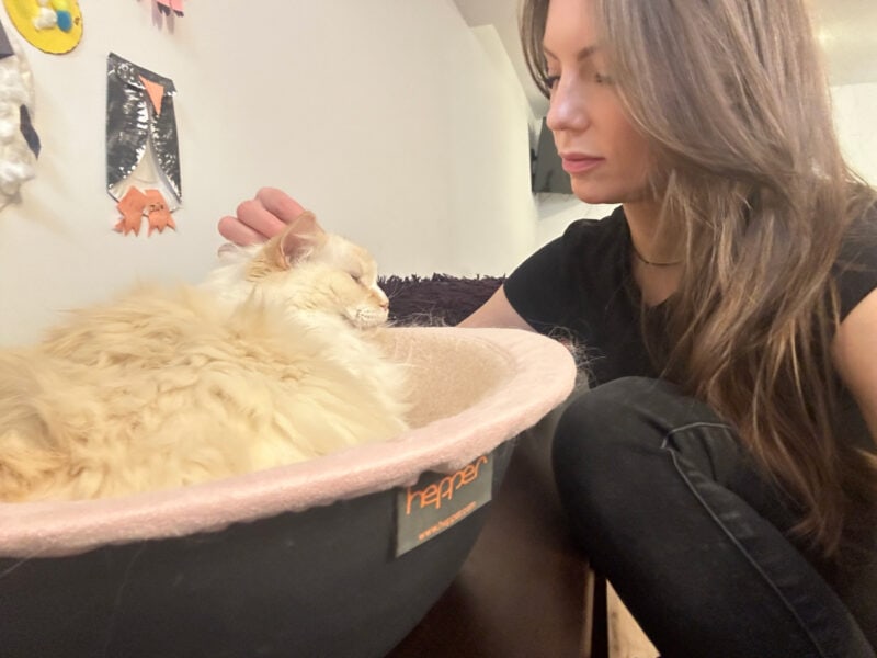 Amanda petting Blue