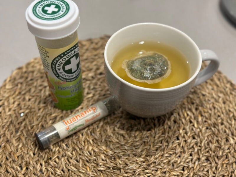 catnip tea for Blue
