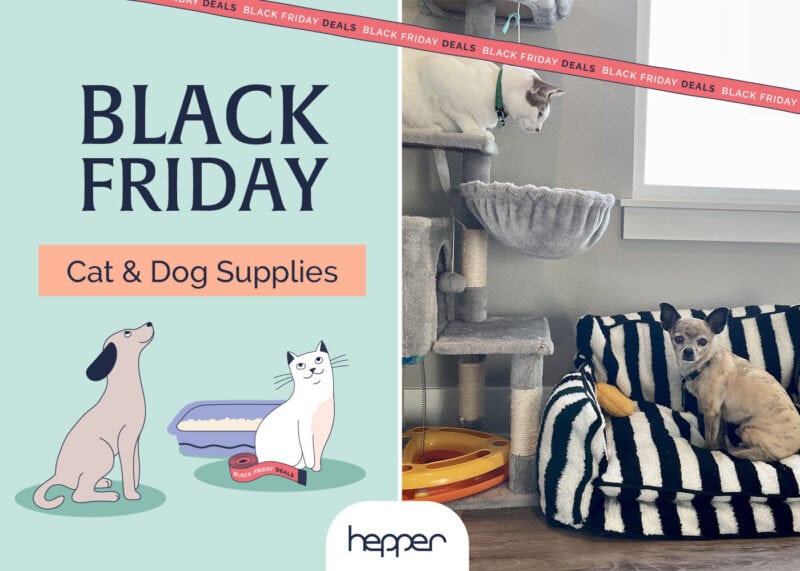 Hepper Black Friday