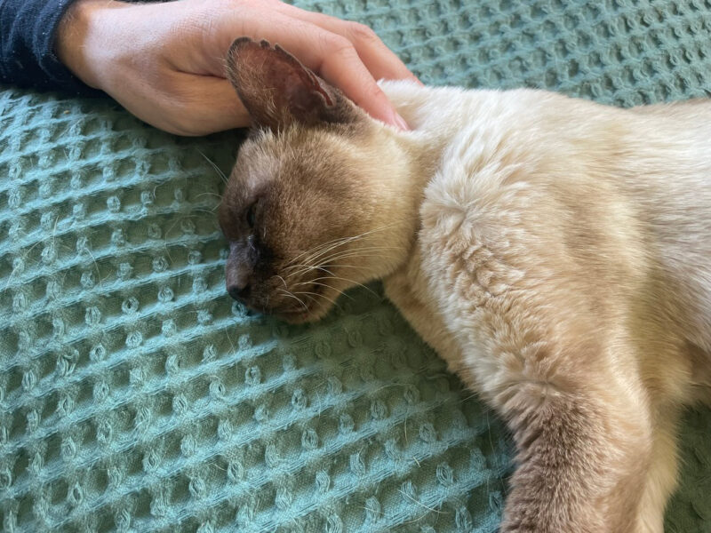 My sweet Baby