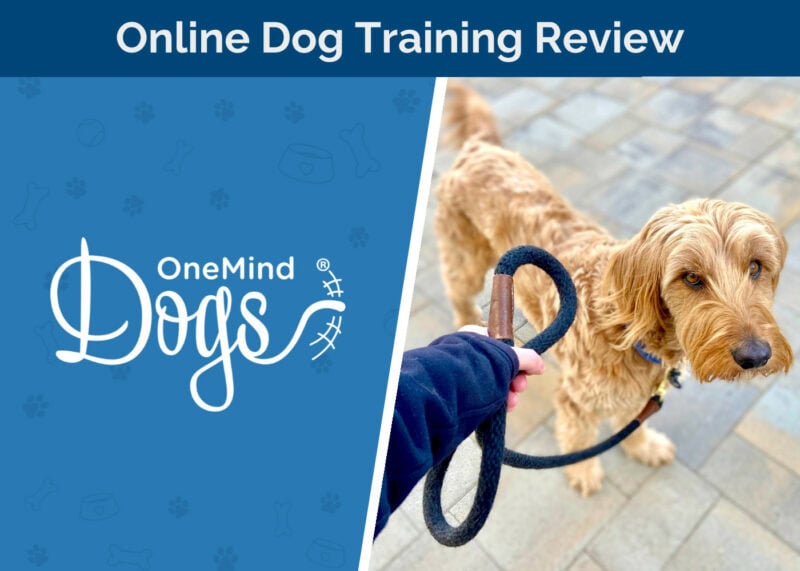OneMind Dogs Online Puppy Training Course Review - featured image