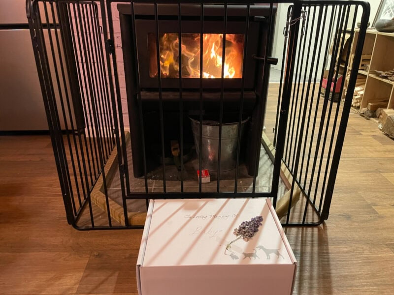 Baby Cat in the box by the fireplace
