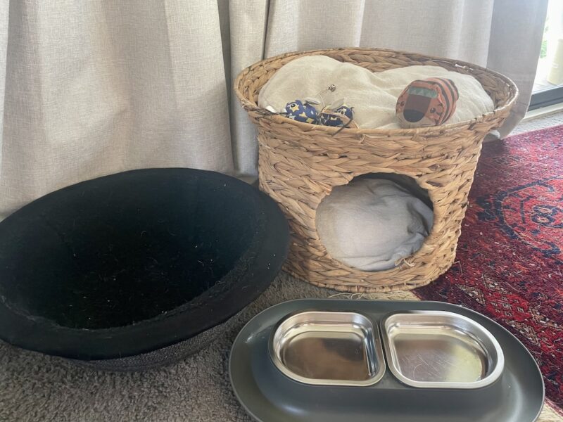 Baby Cat's bed, toys, and water bowl
