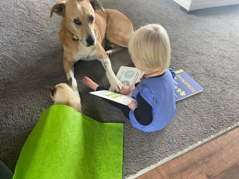 Mac, Baby Cat, and our daughter sharing a lovely moment on Baby Cat's last day
