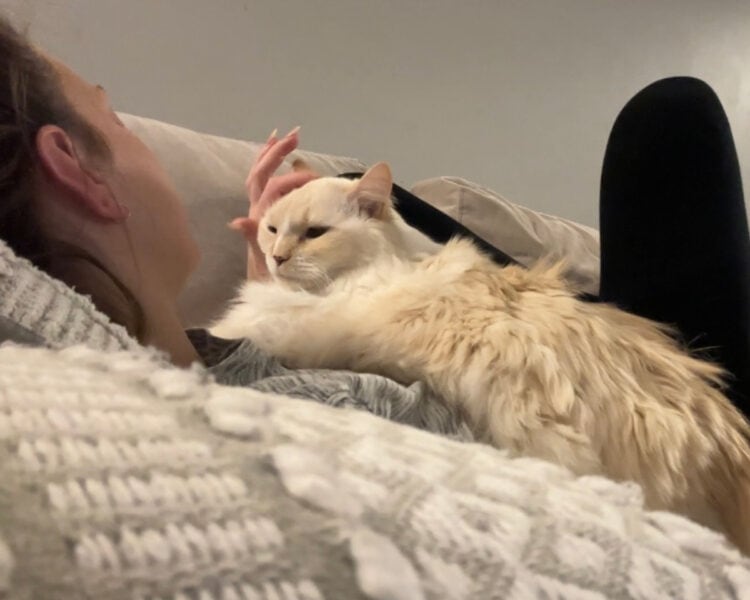 Blue snuggling with Amanda