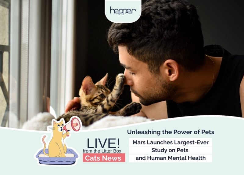 Weekly Mews Unleashing the Power of Pets Mars Mental Health Study
