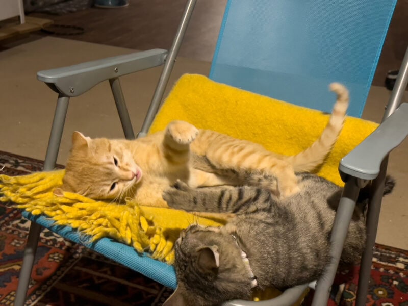 Nara and Minnie playing on the seat