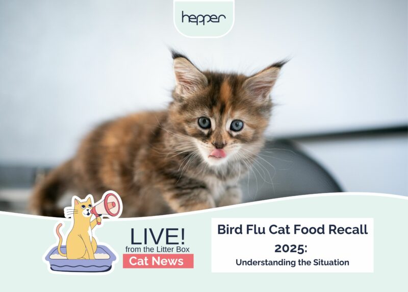 Bird Flu Cat Food Recall 2025