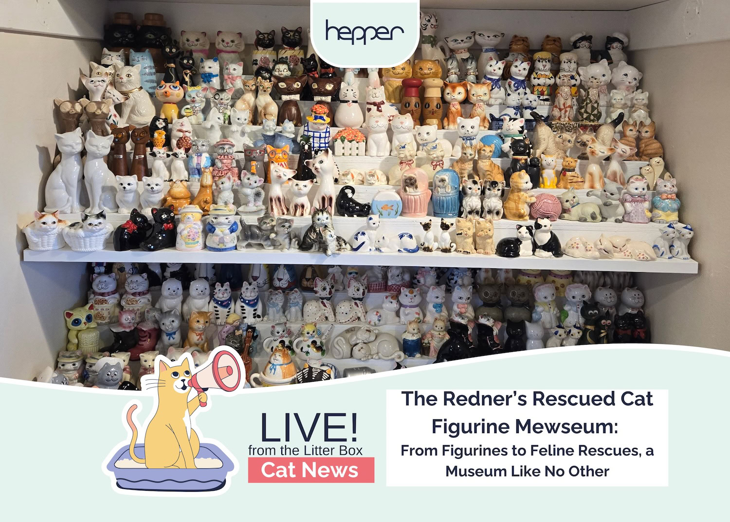 Dwell From the Litter Field: The Redner’s Rescued Cat Figurine Mewseum: From Collectible figurines to Feline Rescues, a Museum Like No Different