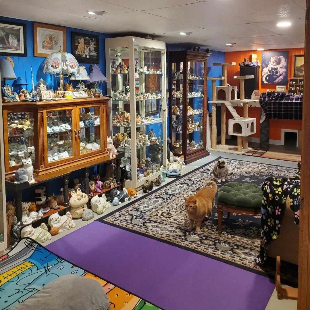 Mewseum basement