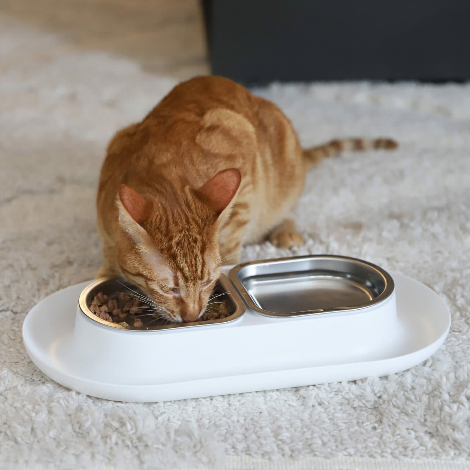 Hepper: Pet Supplies Loved By Cats, Dogs & Veterinarians