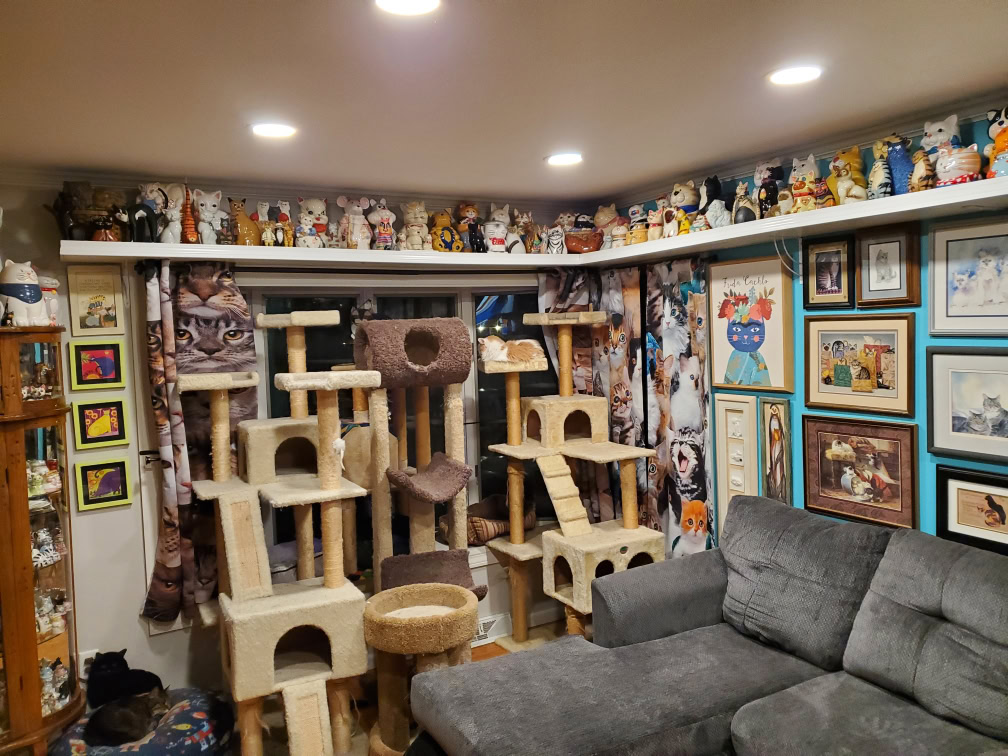 The Mewseum living room